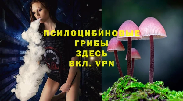 амф Богородицк