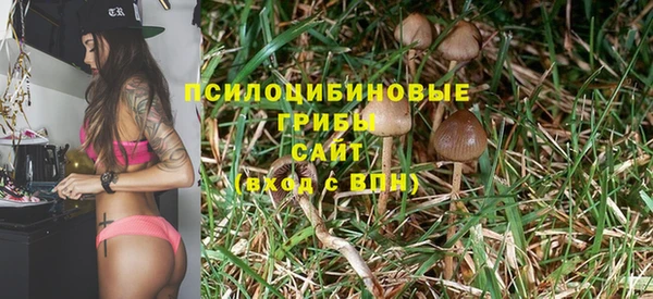 MDMA Premium VHQ Богородск