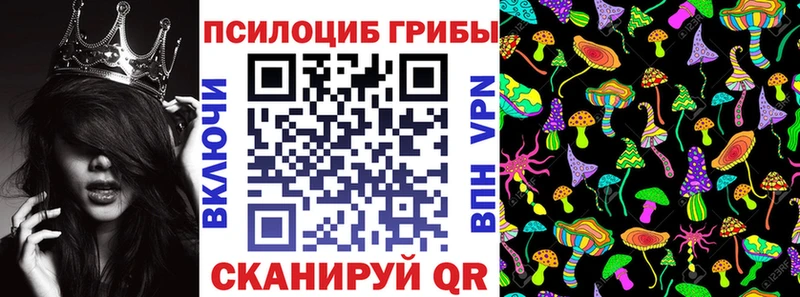 закладка  Ленинградская  ссылка на мегу маркетплейс  Галлюциногенные грибы Cubensis 