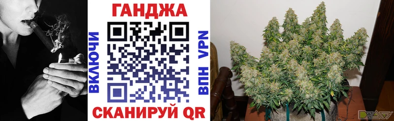 Бошки Шишки VHQ  Ленинградская 